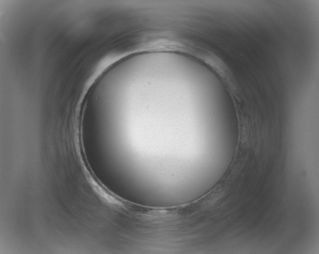 X0000080661478200612151118