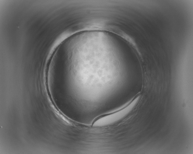 X0000080661480200612151118