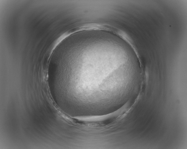X0000080661481200612151118