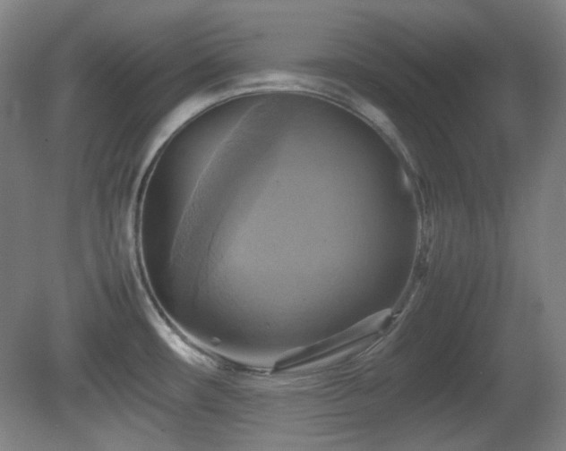 X0000080661482200612151118
