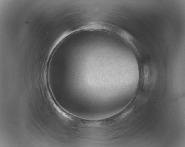 X0000080661484200612151118