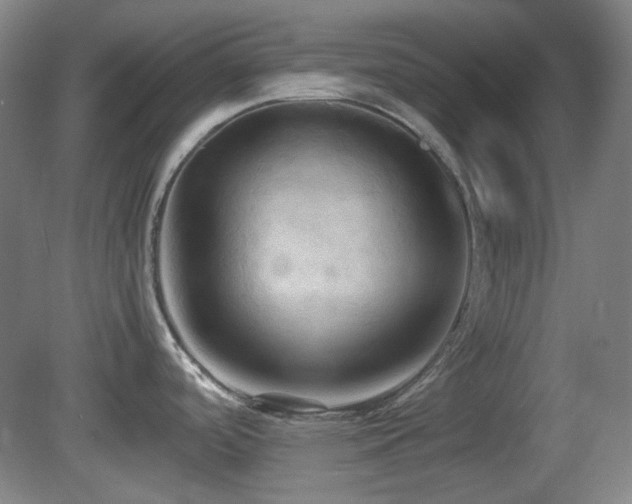 X0000080661488200612151118