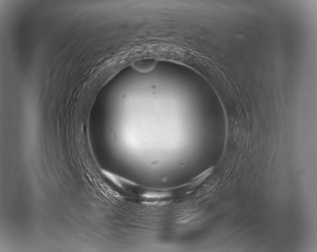 X0000080661489200612151117