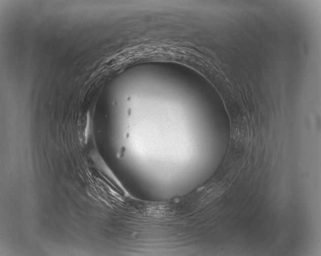 X0000080661490200612151117