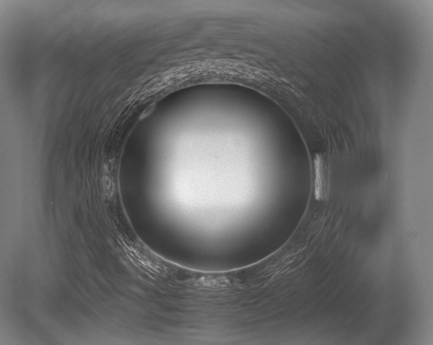 X0000080661491200612151117