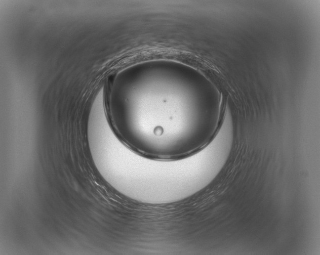 X0000080661492200612151117