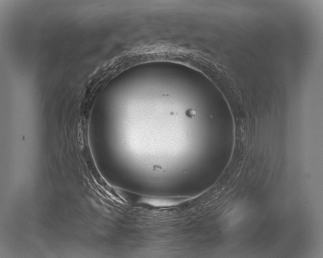 X0000080661493200612151117