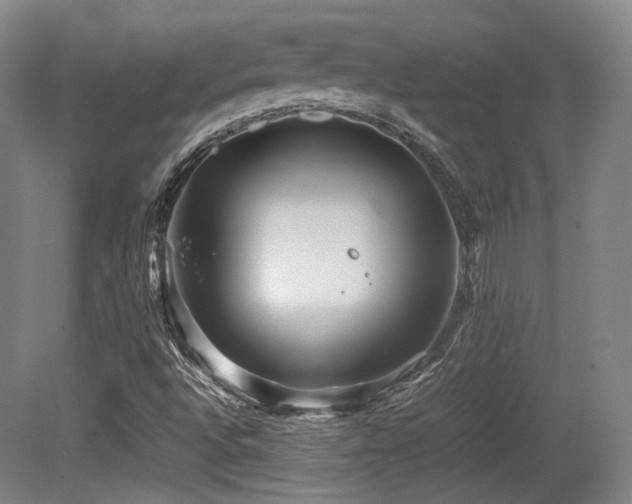 X0000080661496200612151117