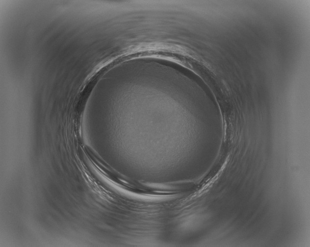 X0000080661497200612151117