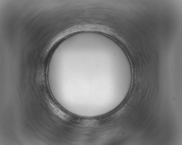 X0000080661498200612151117