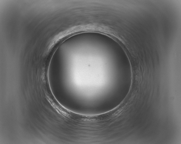 X0000080661499200612151117