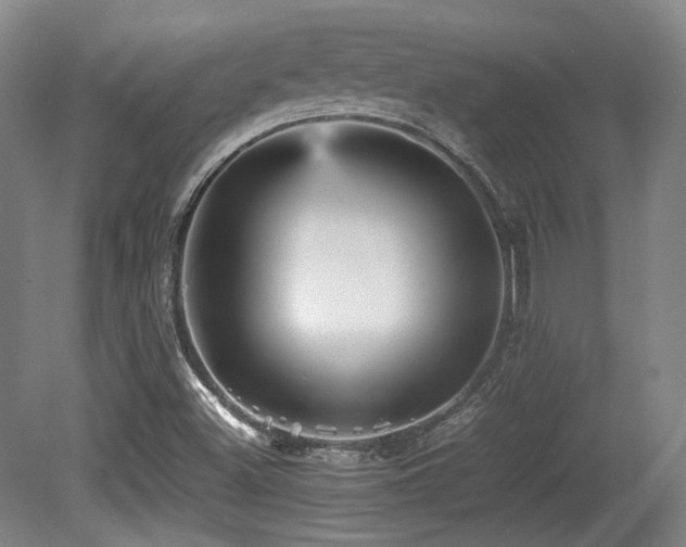 X0000080661500200612151117