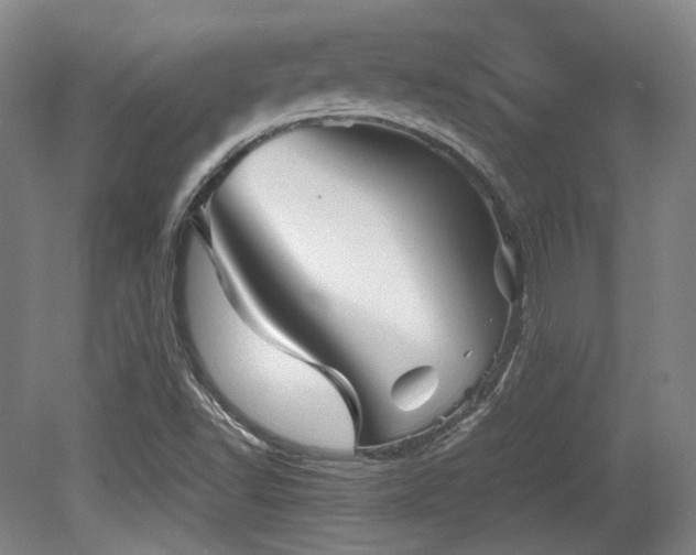 X0000080661502200612151117