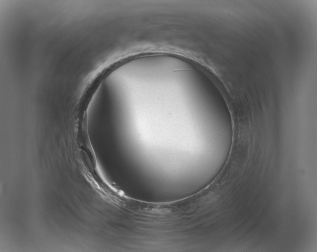 X0000080661503200612151117