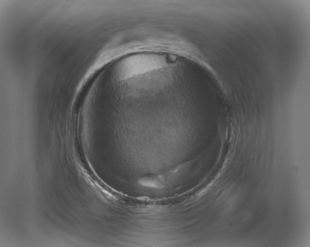 X0000080661506200612151117