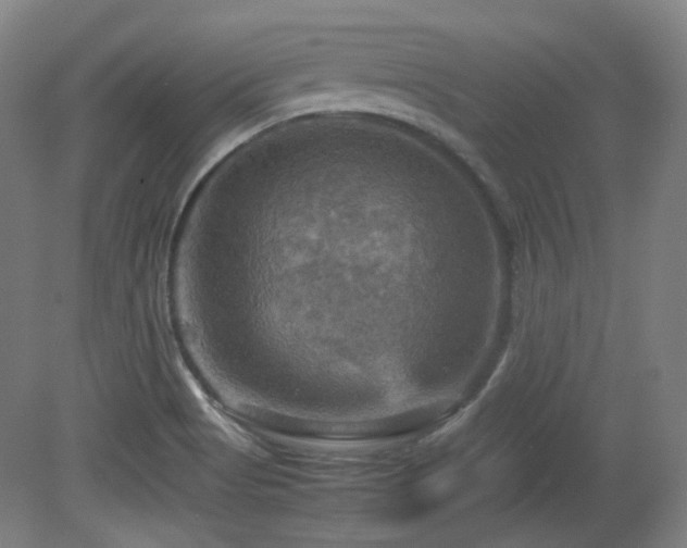 X0000080661513200612151117