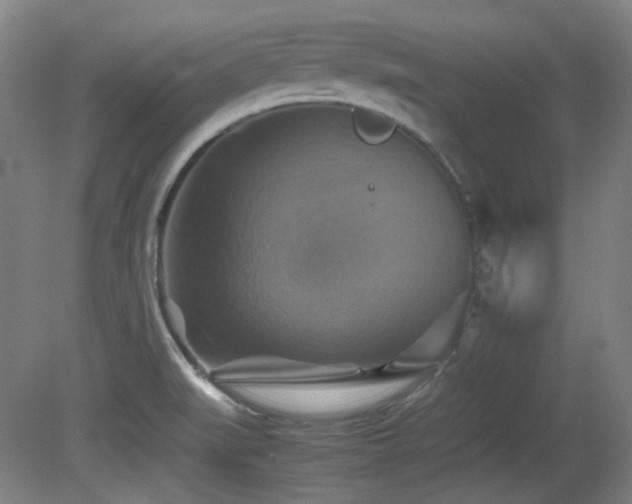 X0000080661519200612151117