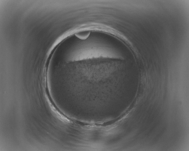 X0000080661522200612151118