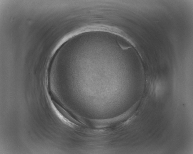 X0000080661523200612151118