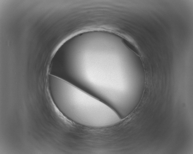 X0000080661524200612151118