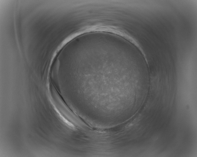 X0000080661525200612151118