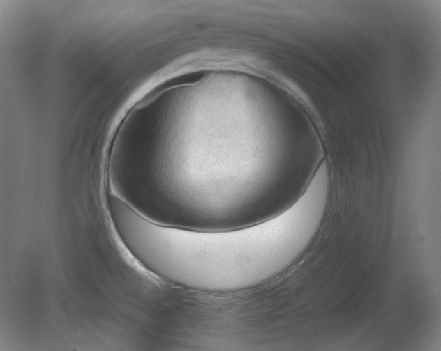 X0000080661528200612151118