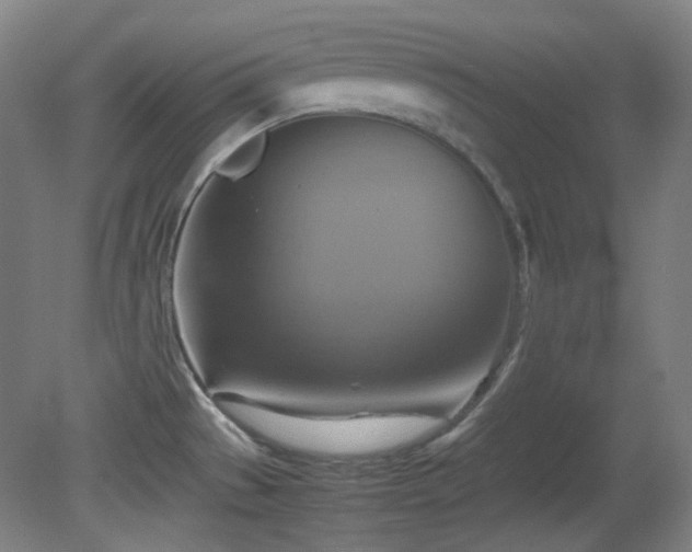 X0000080661529200612151118
