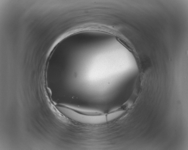 X0000080661530200612151118
