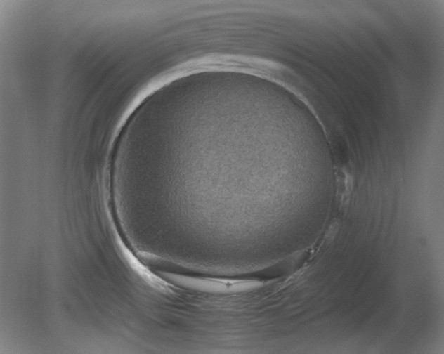 X0000080661531200612151118