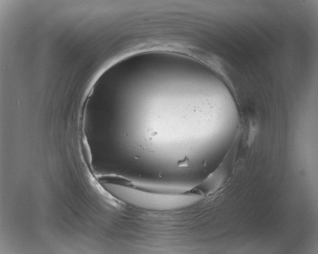X0000080661532200612151118