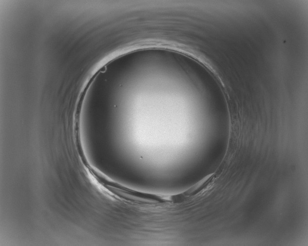 X0000080661535200612151118