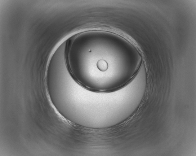 X0000080661536200612151118