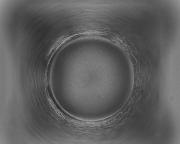 X0000080660002200612221103