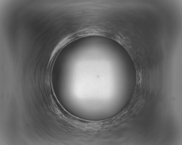 X0000080660004200612221103
