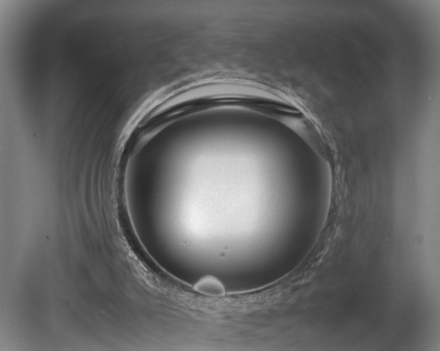 X0000080660007200612221103