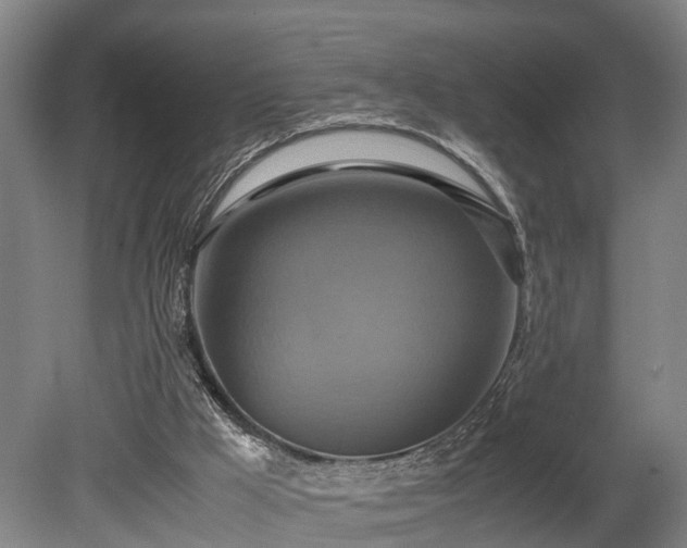 X0000080660009200612221103