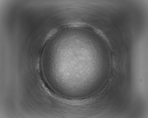 X0000080660010200612221103