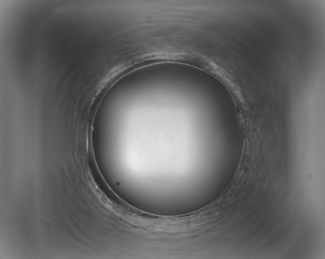 X0000080660011200612221103