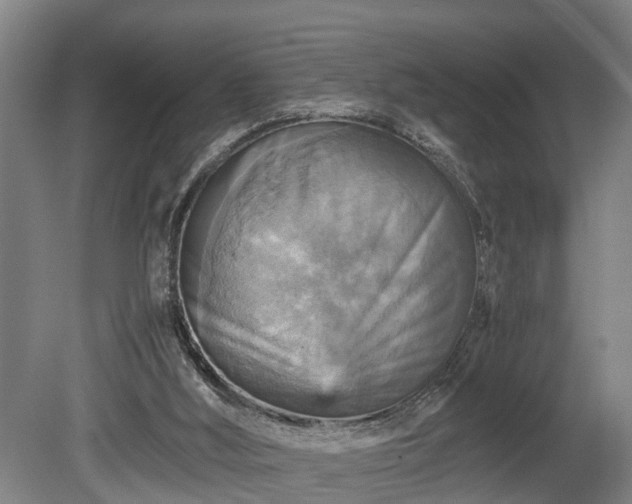 X0000080660012200612221103