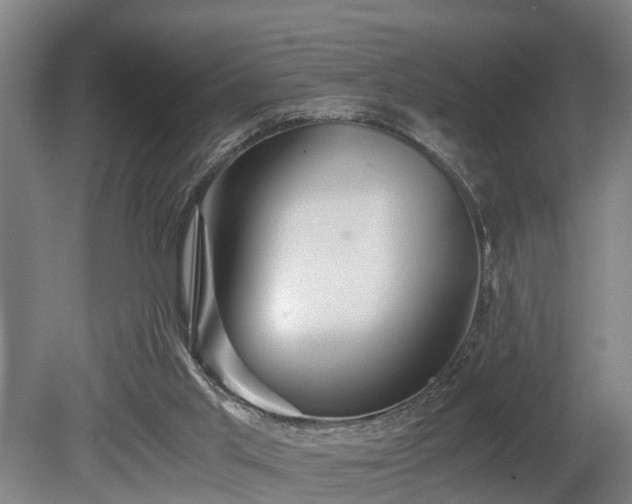 X0000080660013200612221103