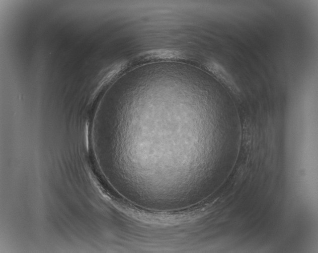 X0000080660014200612221103