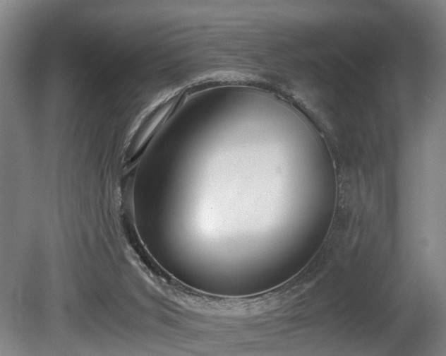X0000080660015200612221103