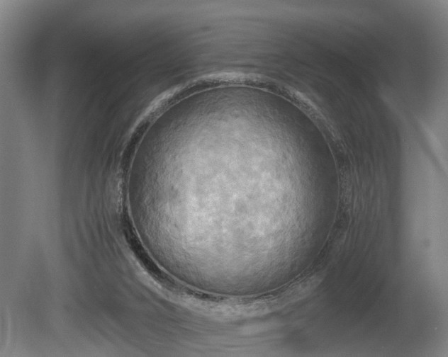 X0000080660016200612221103