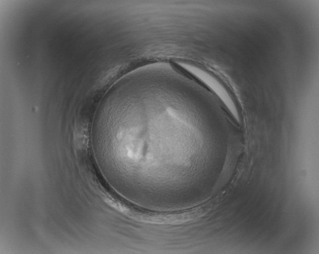 X0000080660017200612221103