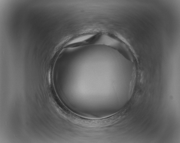 X0000080660019200612221102