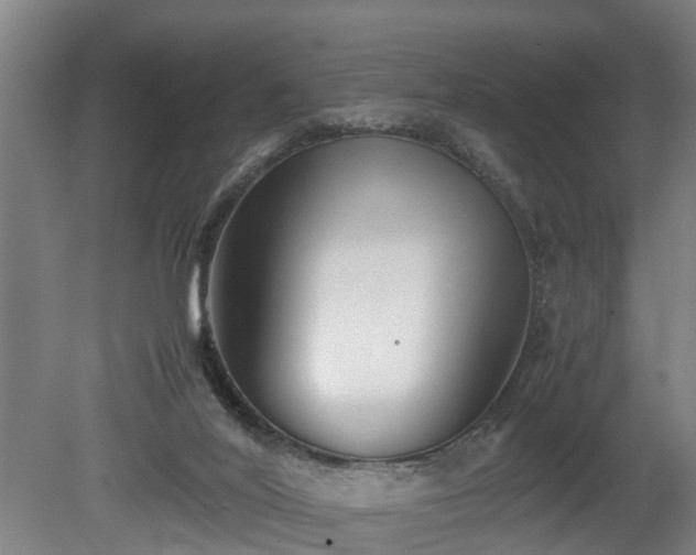 X0000080660020200612221102