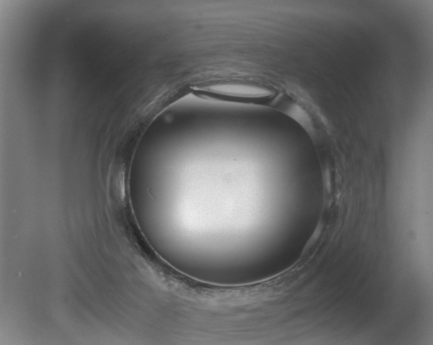 X0000080660021200612221102