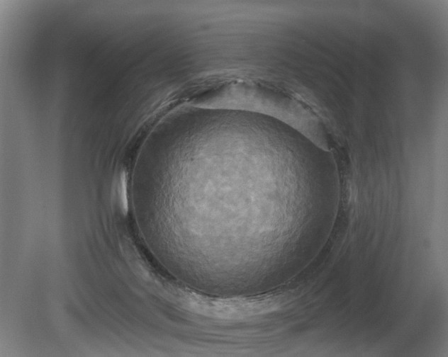 X0000080660022200612221102