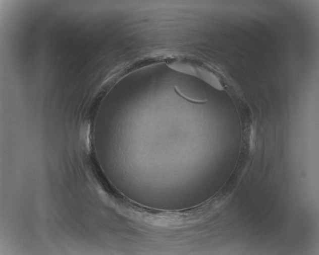 X0000080660024200612221102