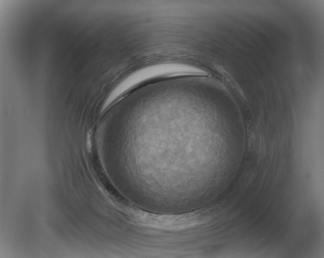 X0000080660026200612221102
